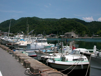 青海島 漁港